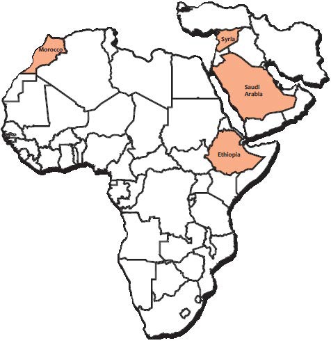 Northern Bald Ibis Range Map showing the NorthWest corner of Africa and small pockets in Saudi Arabia and Yemen