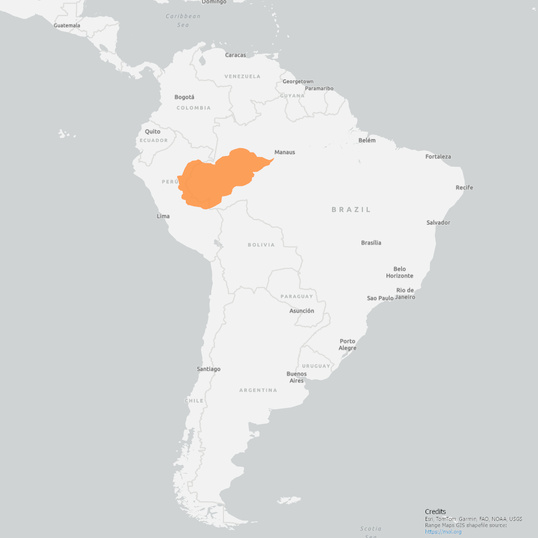 Range map of the Coppery Titi in northern South America between Peru and Brazil