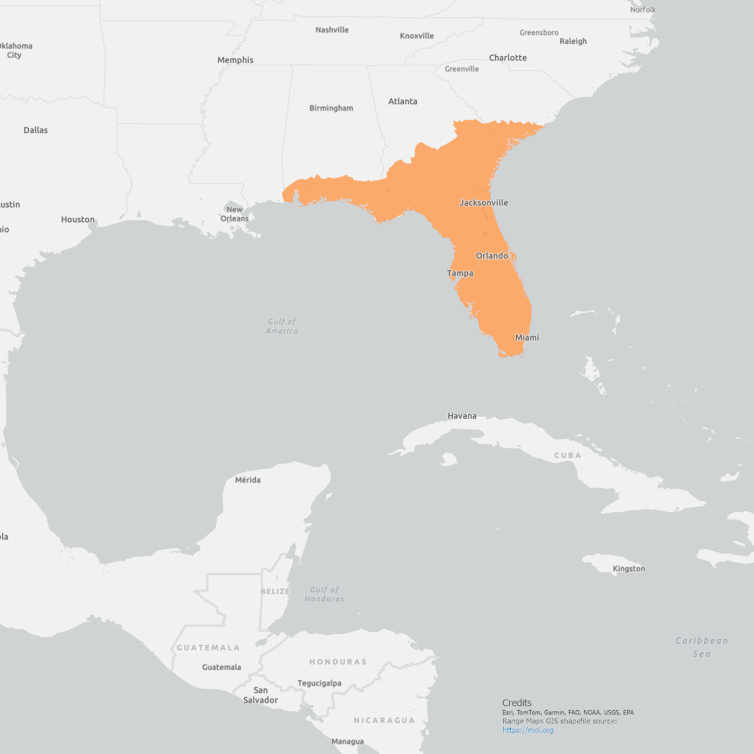 Florida Softshell Turtle Range Map showing coverage centered around Florida