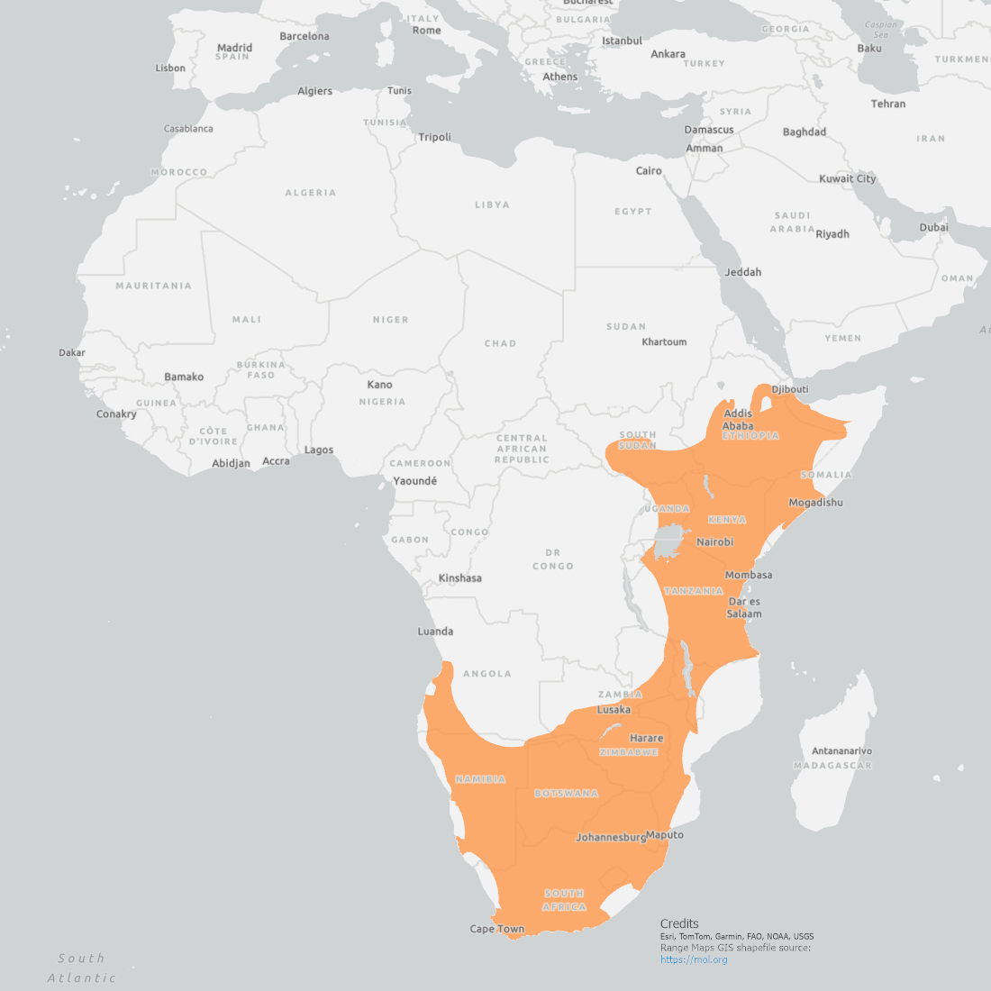 Leopard Tortoise Range Map showing coverage from the Southern tip of Africa up the coast to Ethiopia