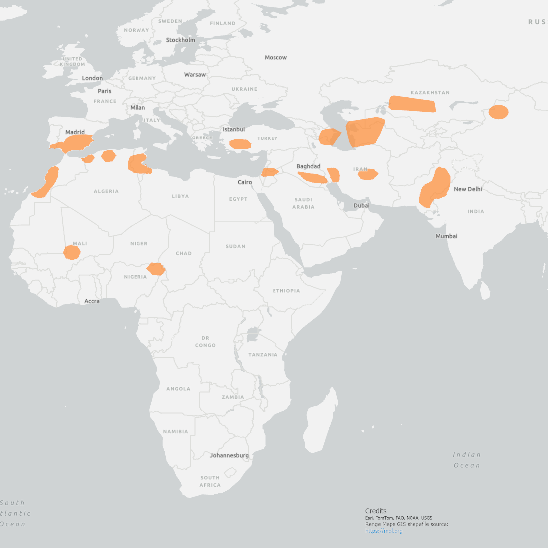 Marbled Teal Range Map with pockets along Northern Africa, Middle East and portions of India and Kazakstan.