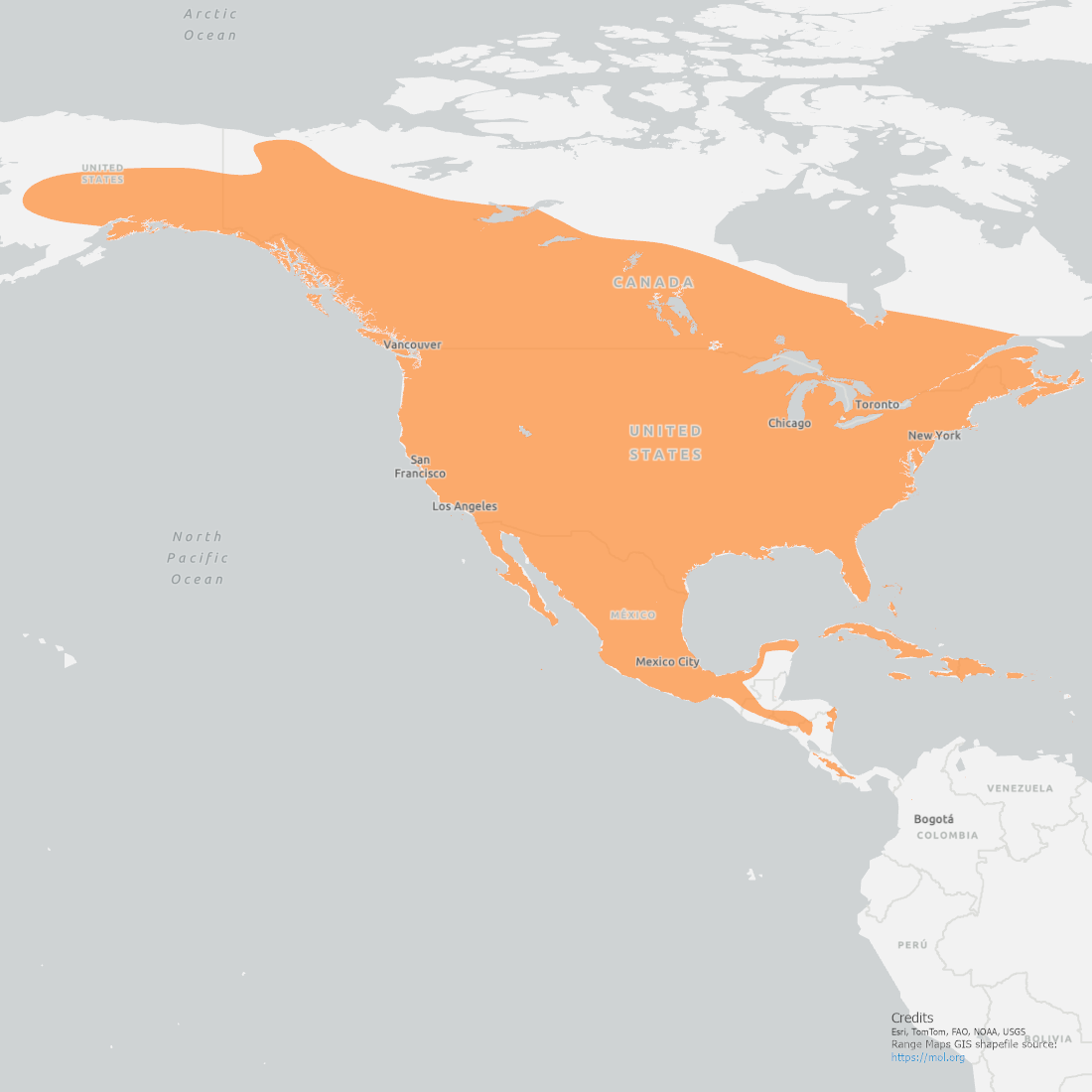 Red-tailed Hawk Range Map showing coverage over Northern America