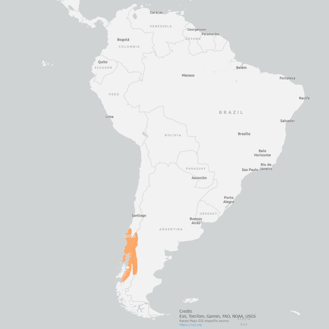 Southern Pudu range map covering the southern portion of Chile