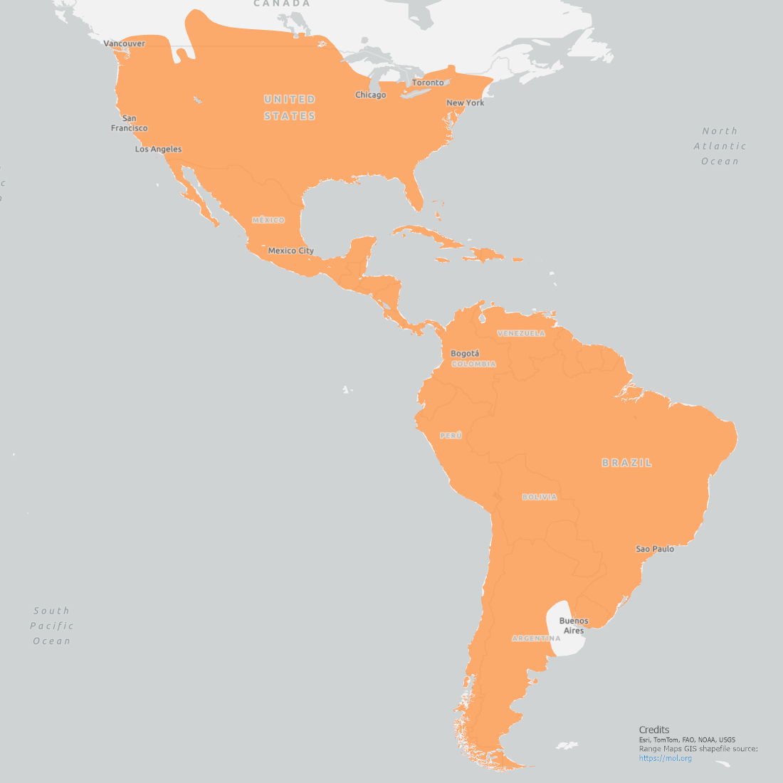 Western Turkey Vulture range map showing coverage from the United States down throughout South America