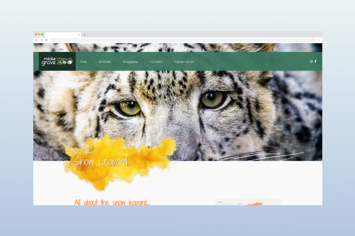 Website mockup screenshot.